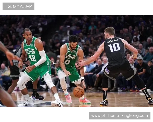 凯尔特人连续击败猛龙，怀特三分射爆篮筐