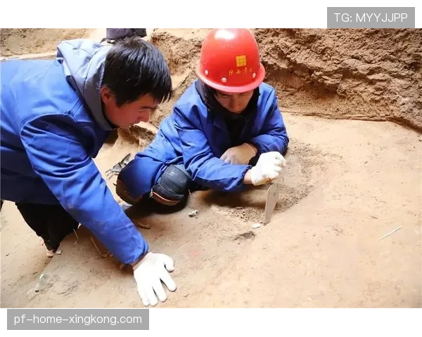 顶级考古精细化清理遗迹保护：他是如何通过工具避震的