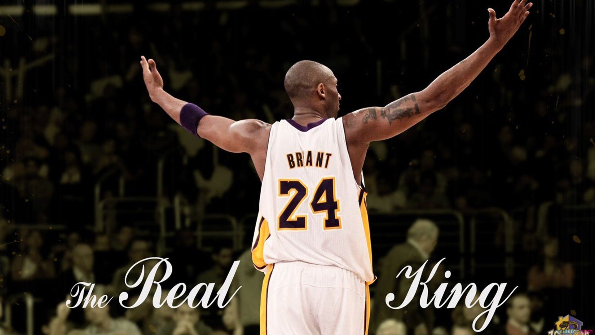 星空·体育app下载-主场气氛热烈观众打出创意标语为球队送上全场支持,球队主题